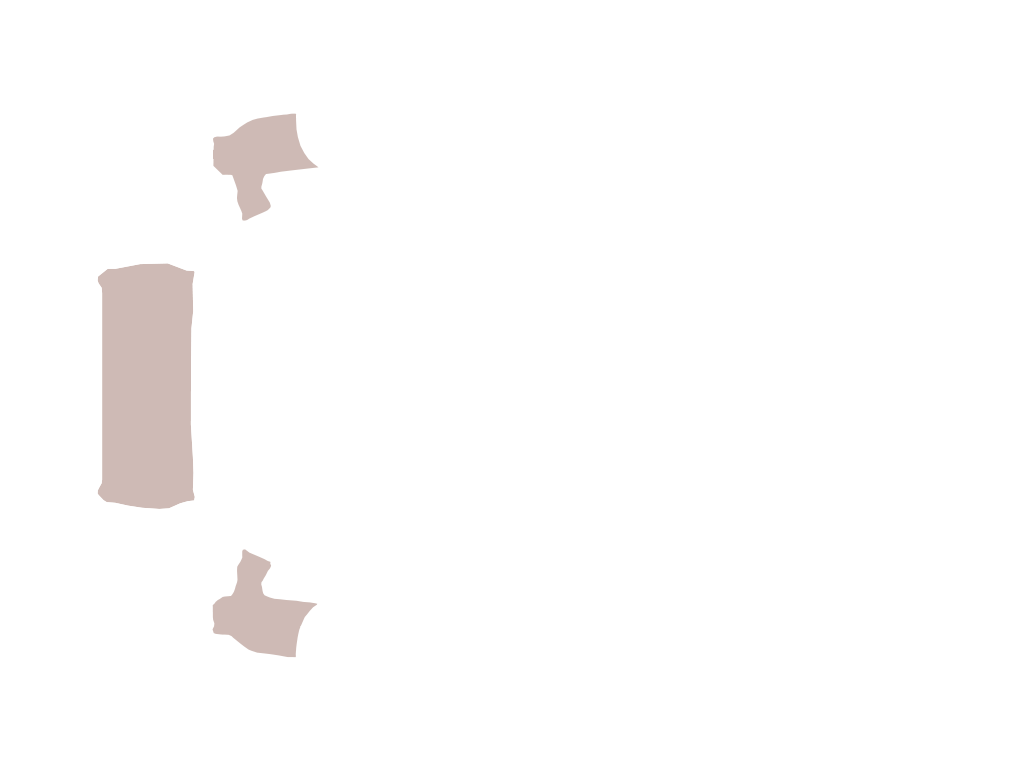 Damage