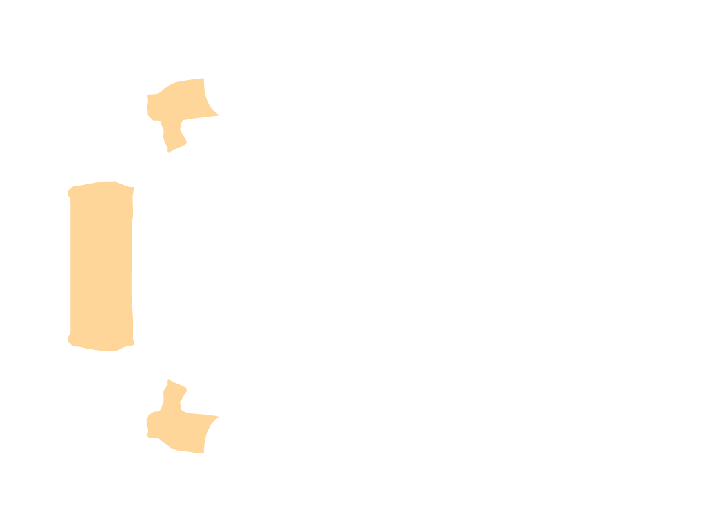 Damage